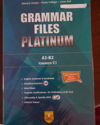 libro Grammar files platinum A2-B2