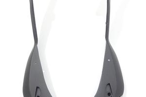 FIANCHETTI SOTTO SERBATOIO CARBONIO MONSTER 821 93