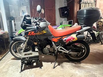 Honda dominator