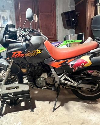 Honda dominator