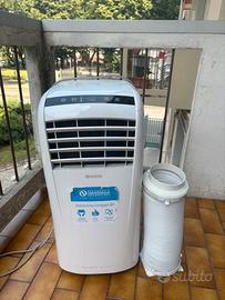 Pinguino condizionatore portatile