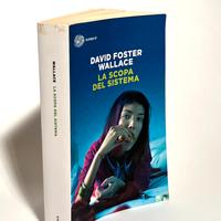 La scopa del sistema – David Foster Wallace