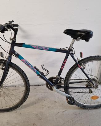 Mountain bike usata