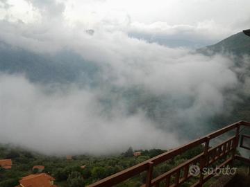 Appartamento con terreno