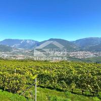 TERRENO AGRICOLO CON VISTA PANORAMICA