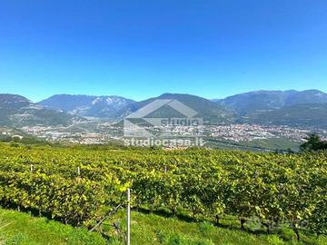 TERRENO AGRICOLO CON VISTA PANORAMICA