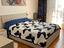 Immagine 11