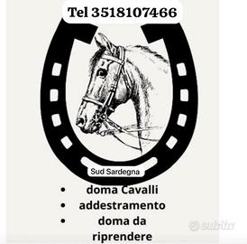 Riprendere cavalli lavoro