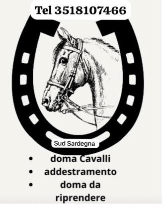 Riprendere cavalli lavoro
