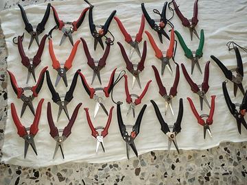 Forbici ✂️ x vendemia