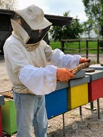 materiale apistico e arnie