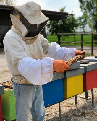 materiale apistico e arnie