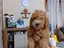 Immagine 1