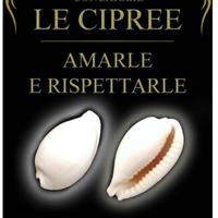 libro: Le cipree, amarle e rispettarle (conchiglie