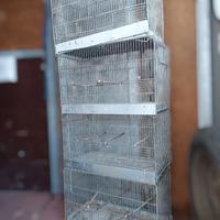 4 gabbie da 60cm