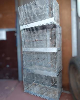 4 gabbie da 60cm