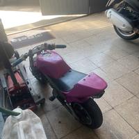 Minimoto Polini