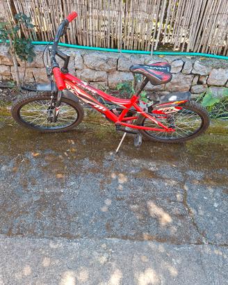 Bicicletta.