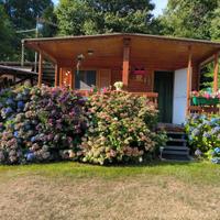 Roulotte con preingresso