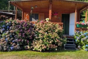 Roulotte con preingresso