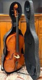 Splendido Violoncello 