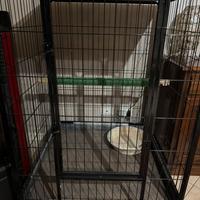 Gabbia per grandi pappagalli