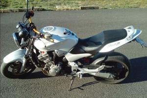 Hornet 900
