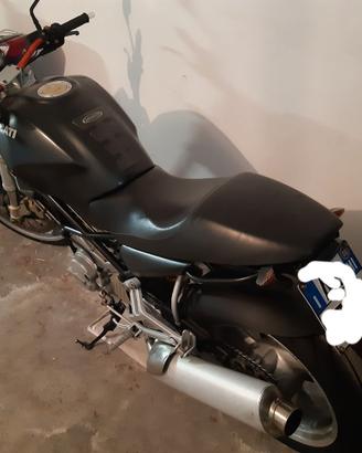 Ducati Monster Dark