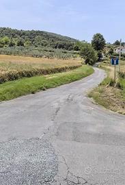 Terreno Arpino