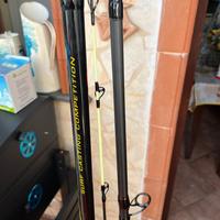 Due canne Tubertini surf casting canna da pesca