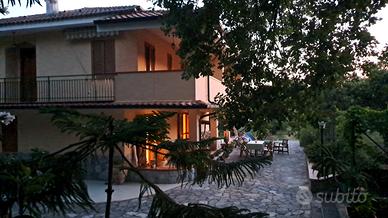 Palinuro vacanze