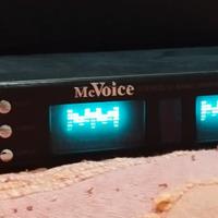 Equalizzatore 10 bande McVoice  EQ-20863