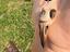 Immagine 4