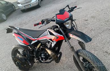 Beta rr 50 2019