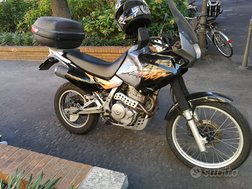 Honda nx 650 dominator - 1996