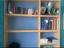 Immagine 1