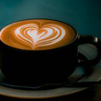 Barista / Barman / Tavola fredda