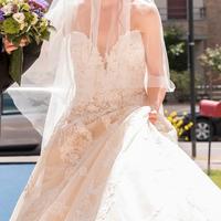 Vestito da sposa Pronovias champagne pizzo