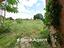 Immagine 19