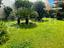 Immagine 9
