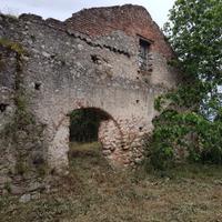Antico frantoio con terreno e piante giovani