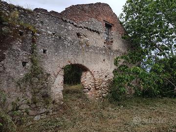 Antico frantoio con terreno e piante giovani