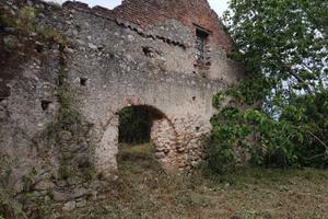 Antico frantoio con terreno e piante giovani