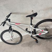 Bici Mountain bike