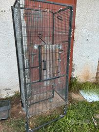 Voliera gabbia