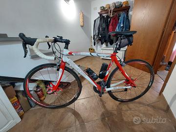 bicicletta olmo