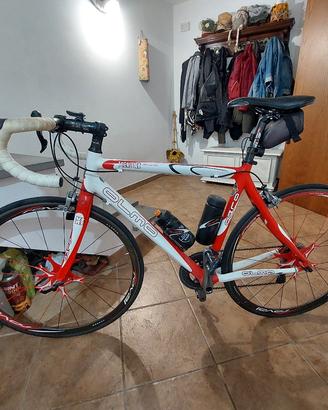 bicicletta olmo
