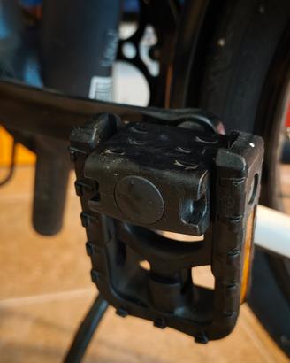 bicicletta pieghevole 