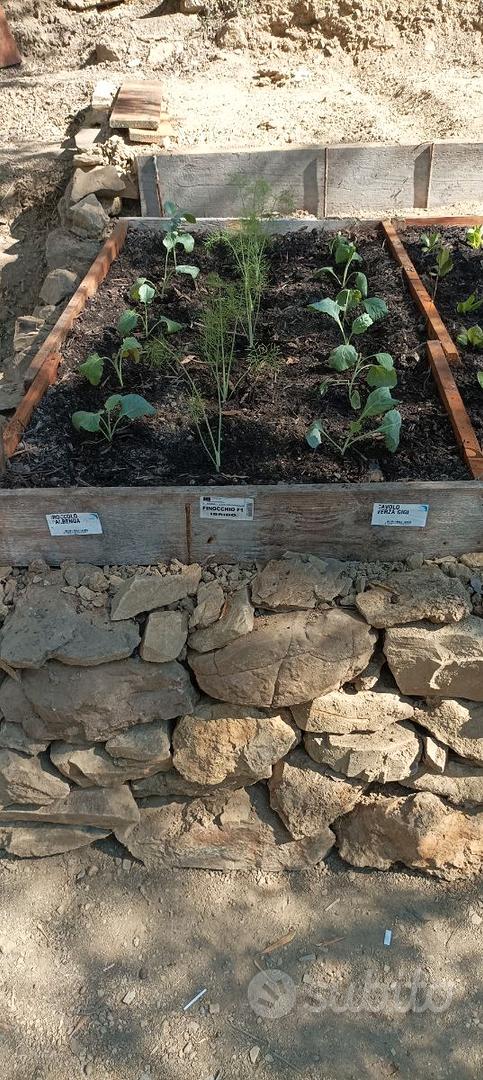 Terreno agricolo 1500 mq - Vista 2