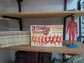 Esplorando il Corpo Umano - Collezione Completa